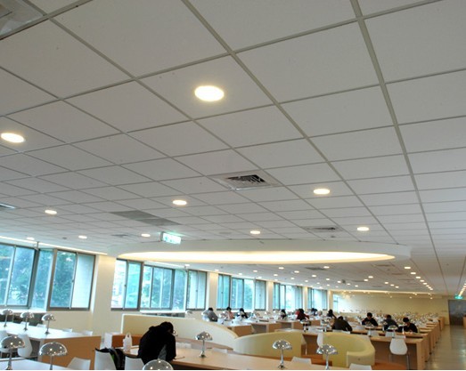 Aluminum Grid False Ceiling